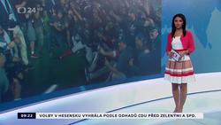 Obrázek